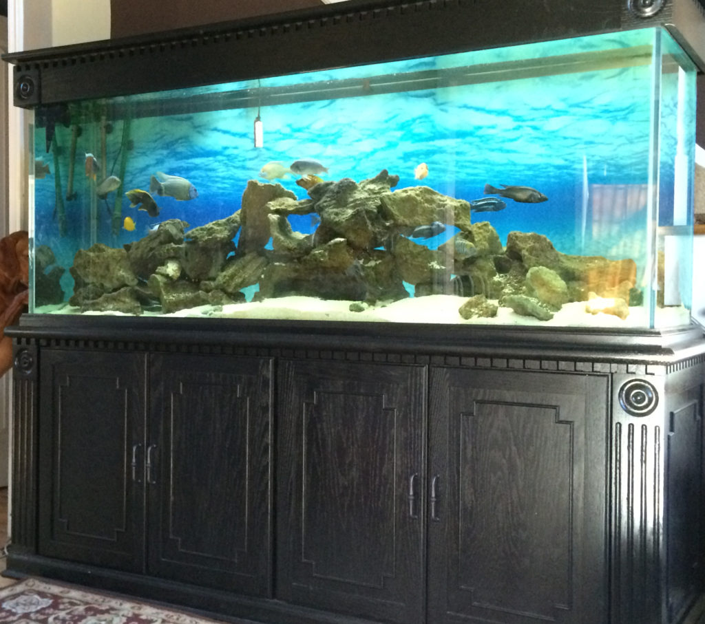 Custom Aquarium Stand Miamitrail Woodworking